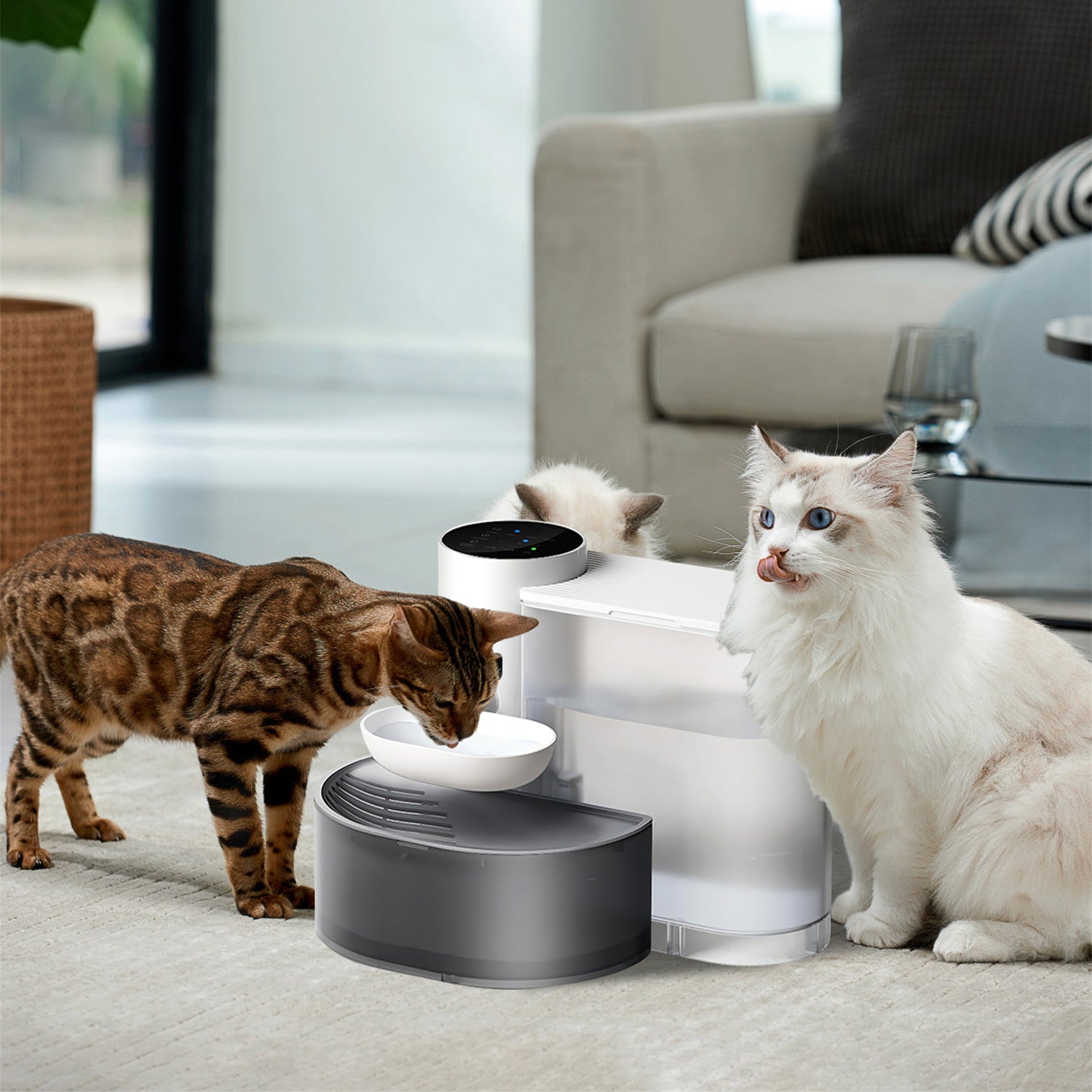FurWell automatic cordless cat water fountain, white 3L self-refilling