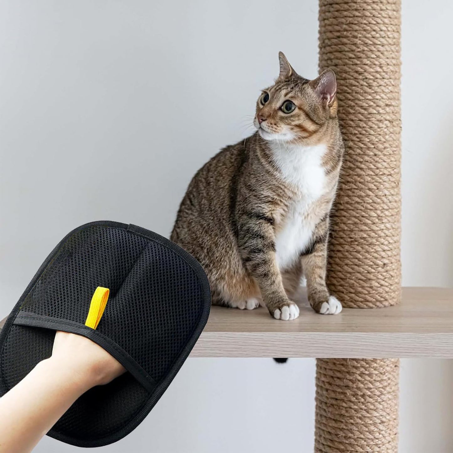 Pet Grooming Glove for Cats & Dogs — Deshedding Massage Mitt & Fur Remover | FurWell