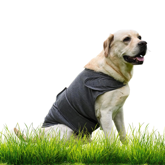 Calming Anxiety Vest for Dogs — Thunder 
Shirt for Stress Relief