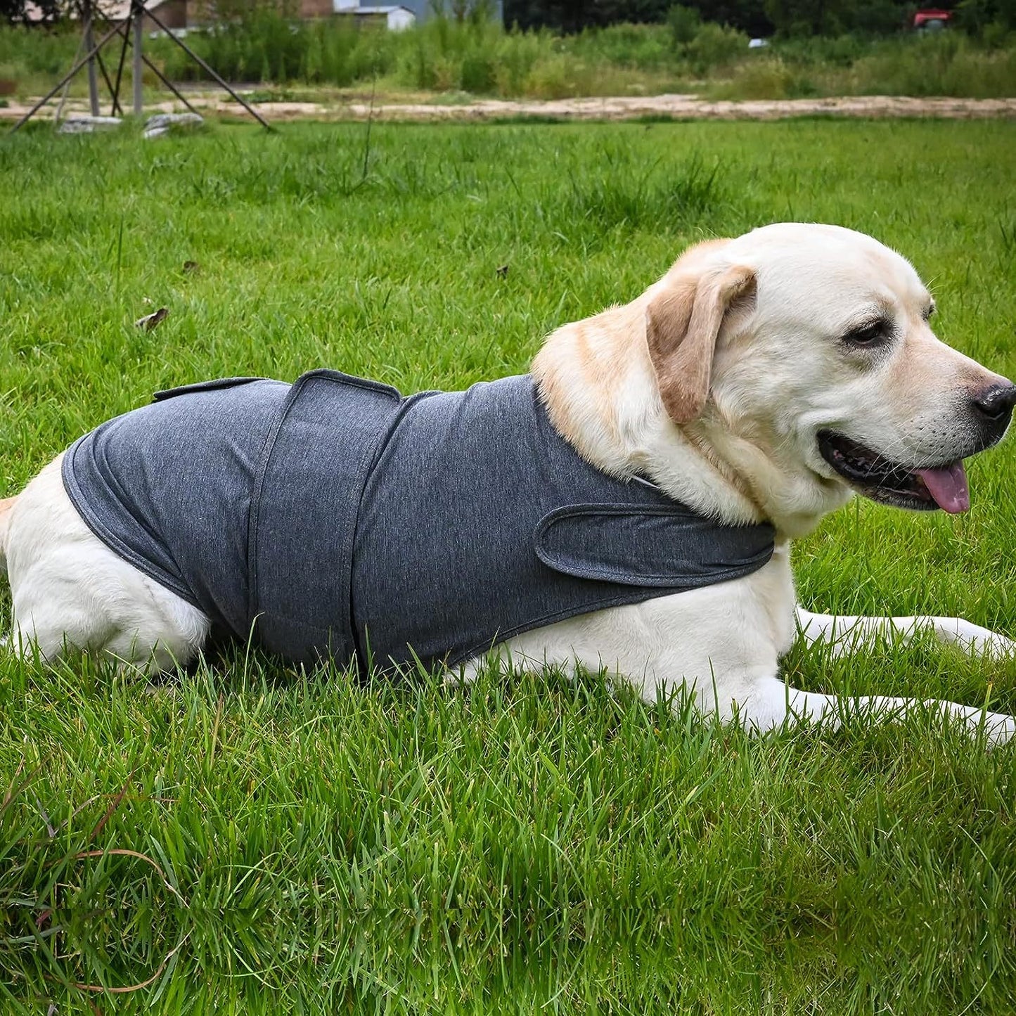 Calming Anxiety Vest for Dogs — Thunder 
Shirt for Stress Relief